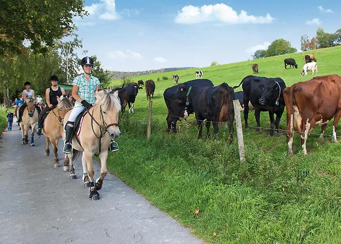 Belke-spork Apartment